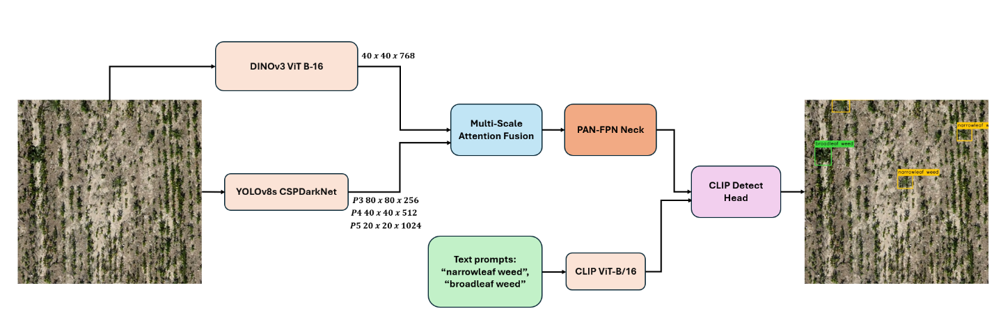 Detection pipeline: UAV crop image into DINOv3 ViT and YOLOv8s, multi-scale attention fusion, PAN-FPN, CLIP text prompts and a CLIP detection head producing boxes