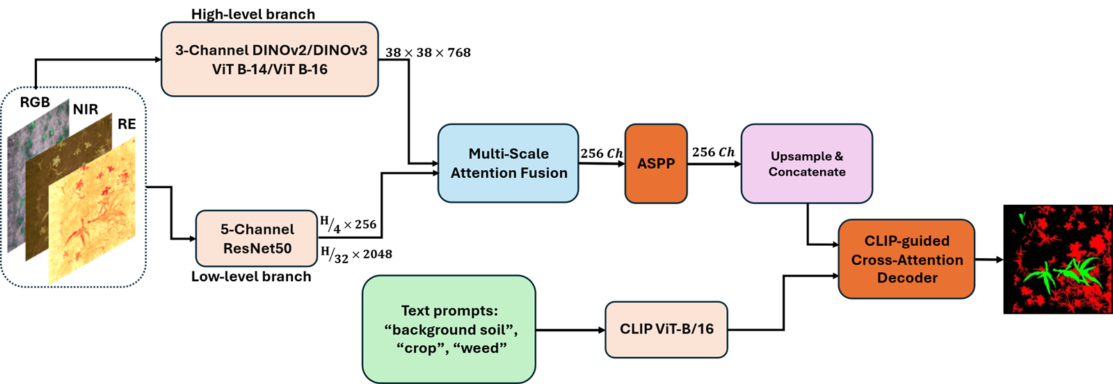 Segmentation pipeline: RGB/NIR/RE inputs feed DINOv2/v3 ViT and a 5-channel ResNet50 branch, multi-scale attention fusion, ASPP and a CLIP-guided cross-attention decoder with text prompts background soil, crop, weed