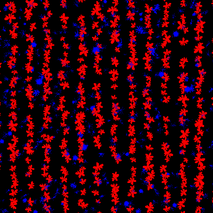 Semantic segmentation mask on black background: red plant regions in crop rows with scattered smaller blue regions