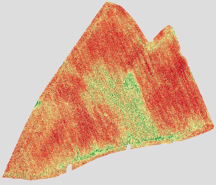 RGB-derived vegetation-index orthomap of a wedge-shaped field, mostly red-orange with scattered green patches