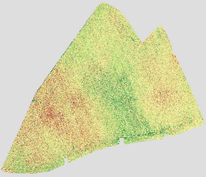 Multispectral vegetation-index orthomap of a wedge-shaped field, mostly yellow-green with light red speckles